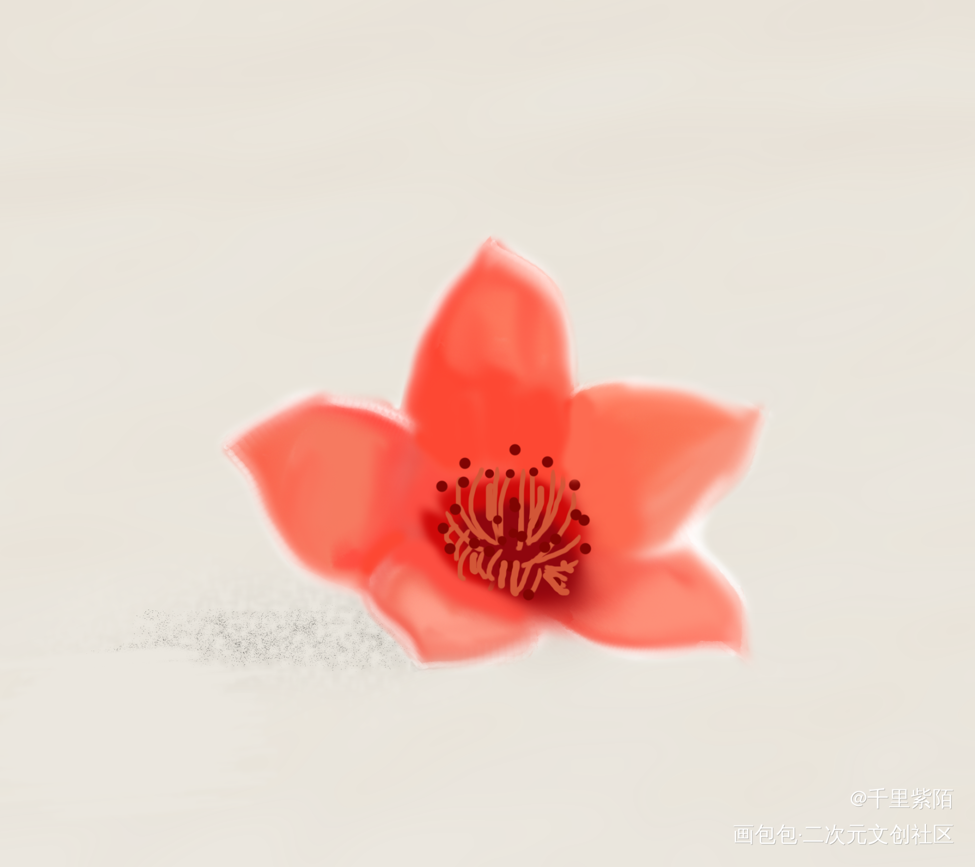 木棉花_平涂绘画作品