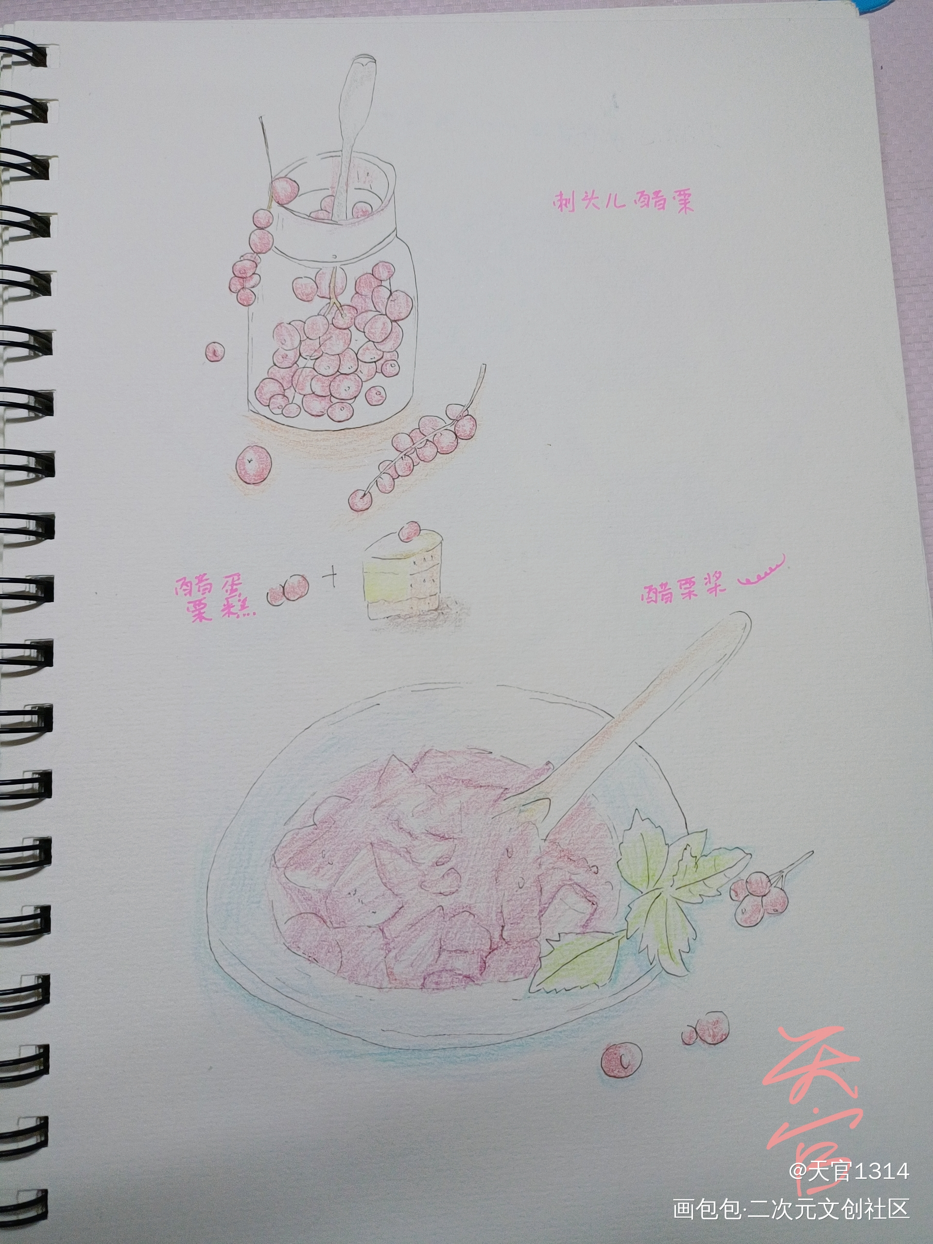 酷栗(水果)_彩铅绘画作品