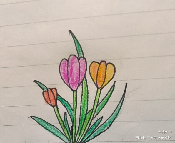 打卡8_手绘绘画作品