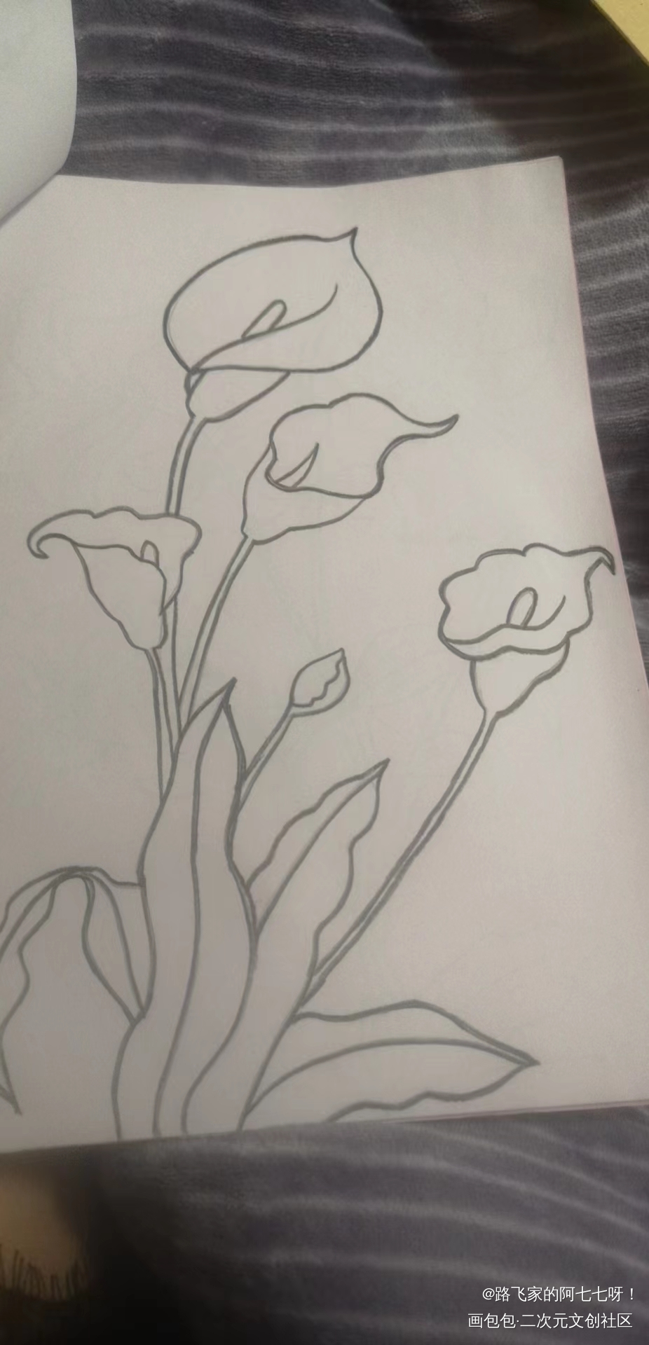 _手绘绘画作品