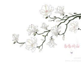 白玉兰_绘画作品