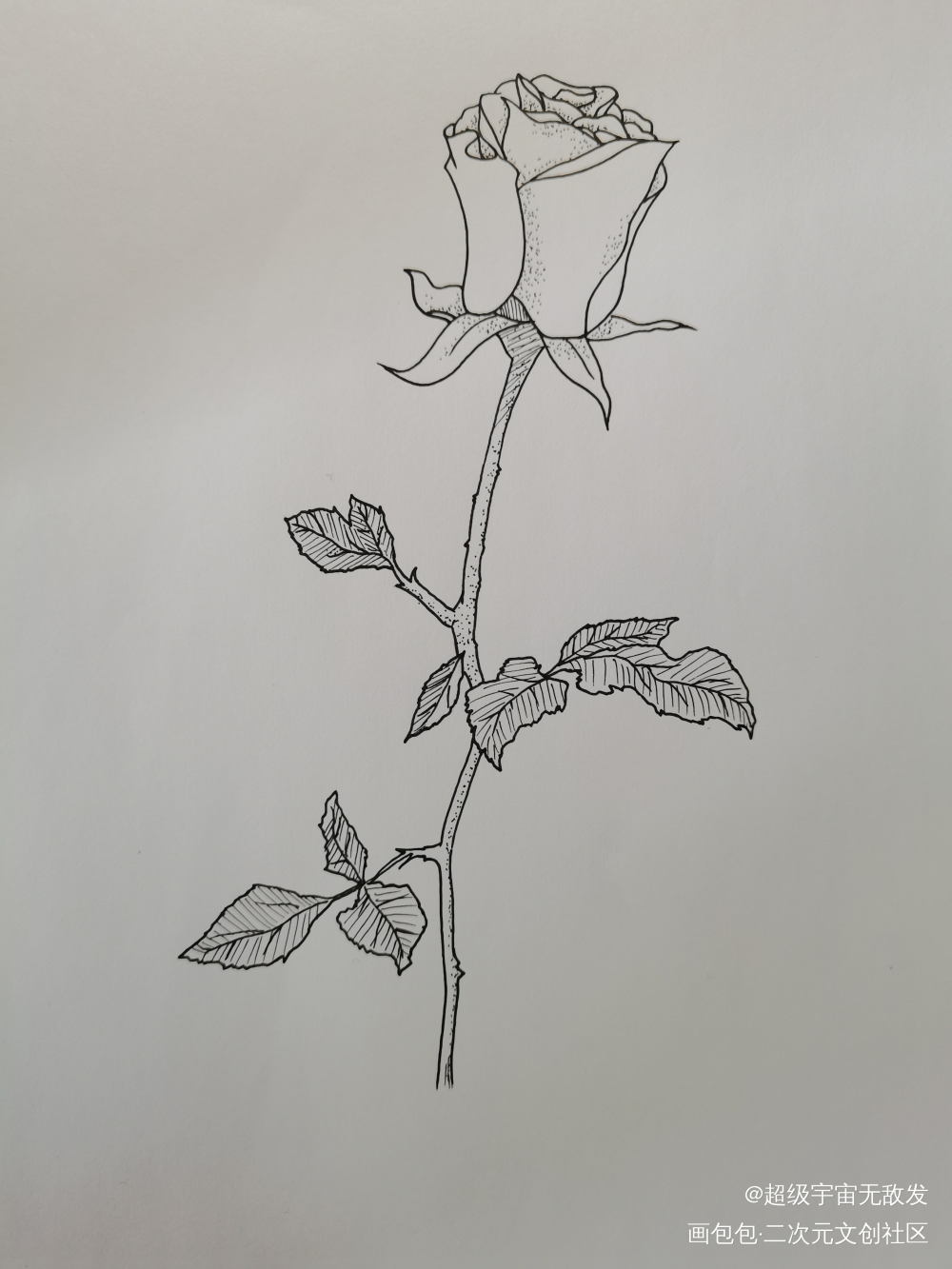 打卡1_黑白简笔绘画作品