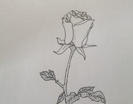 打卡1_绘画作品