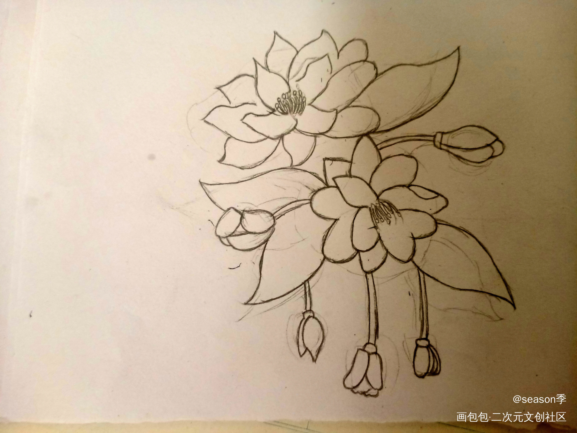 花_手绘绘画作品