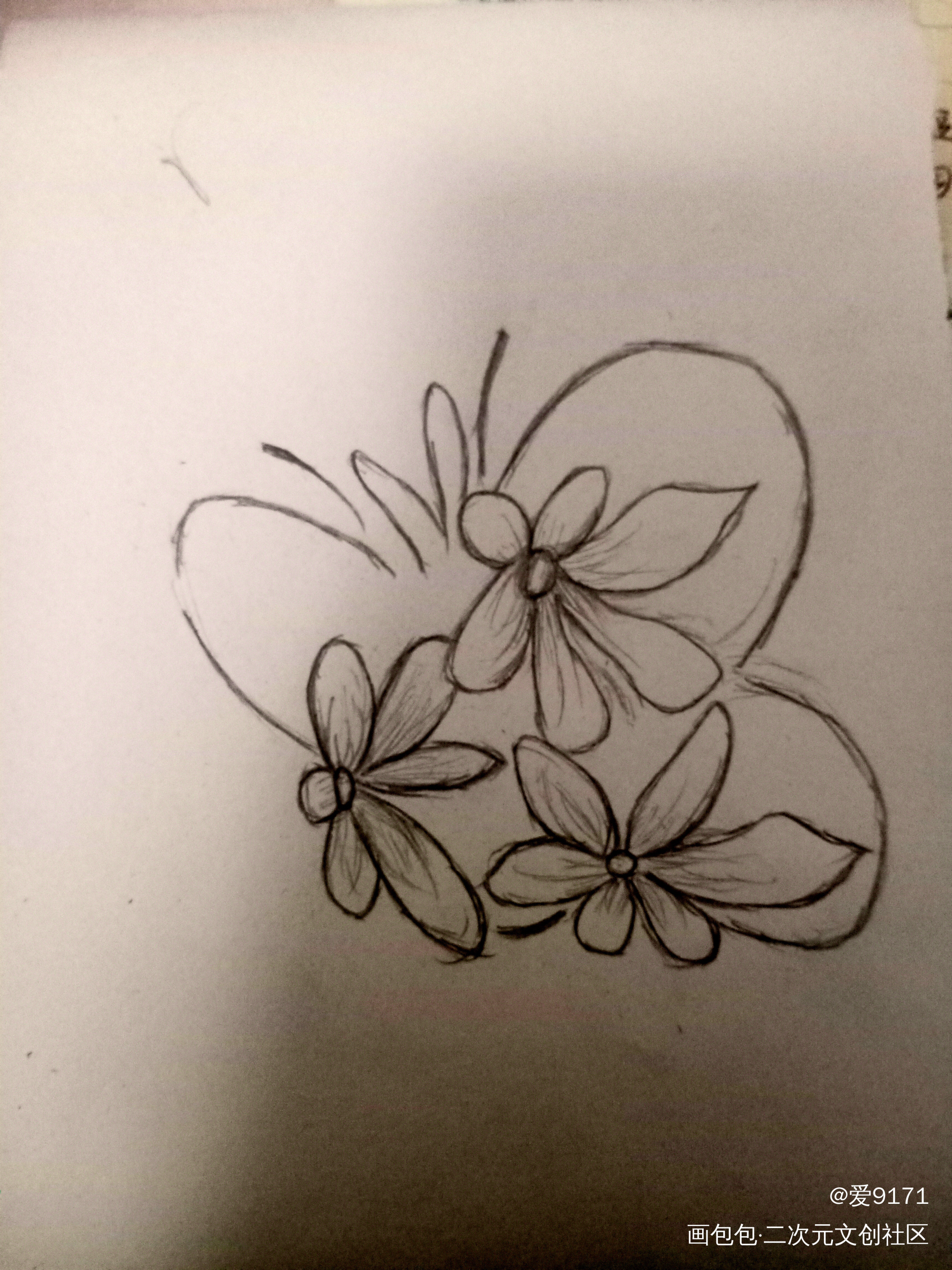 花蝴蝶_手绘绘画作品