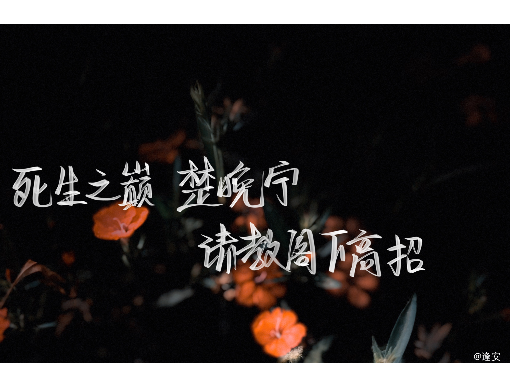 死生之巅  楚晚宁_二哈和他的白猫师尊楚晚宁我要上首推字体设计见字如晤手写绘画作品