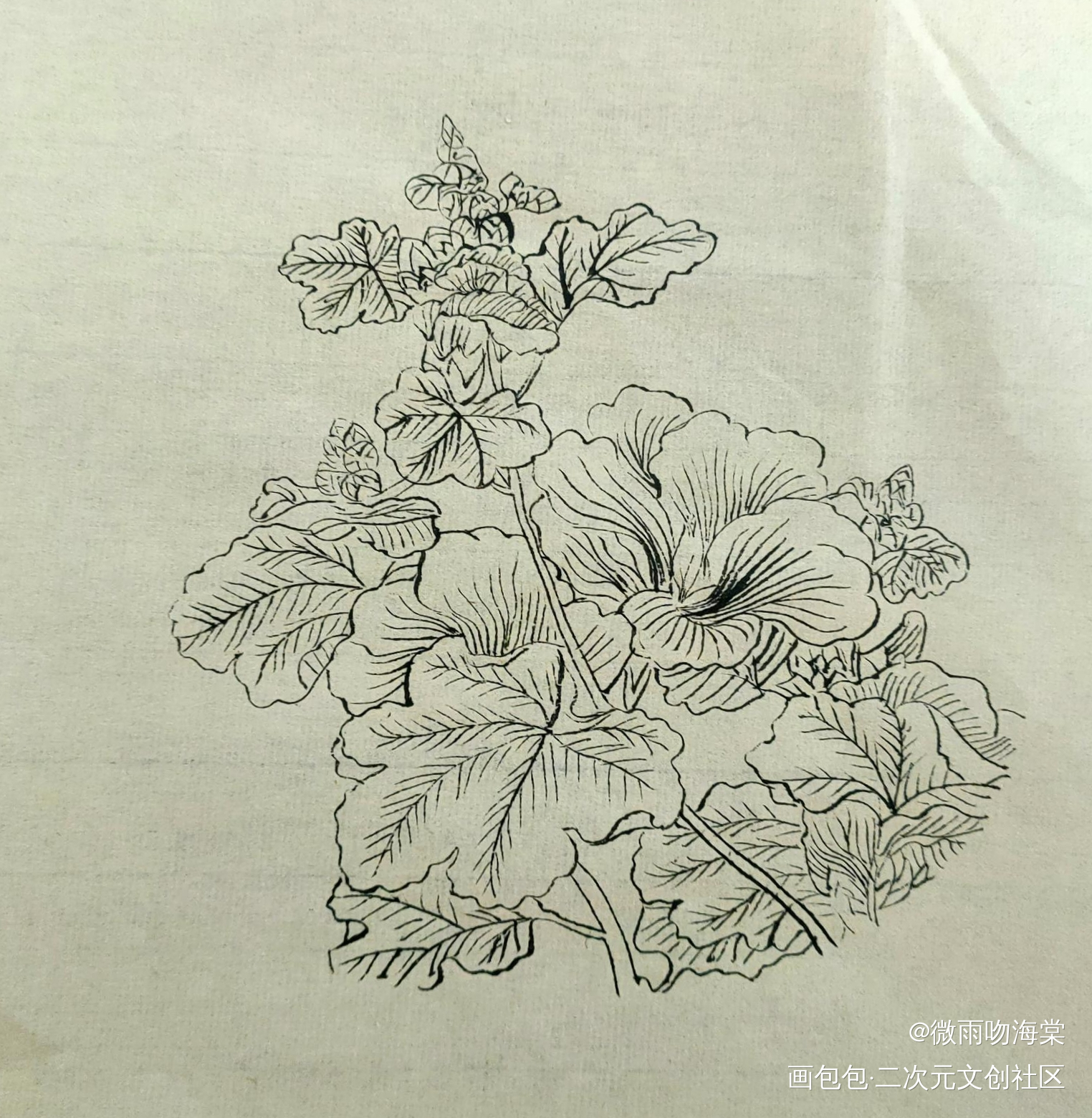 每日打卡13_水墨手绘绘画作品