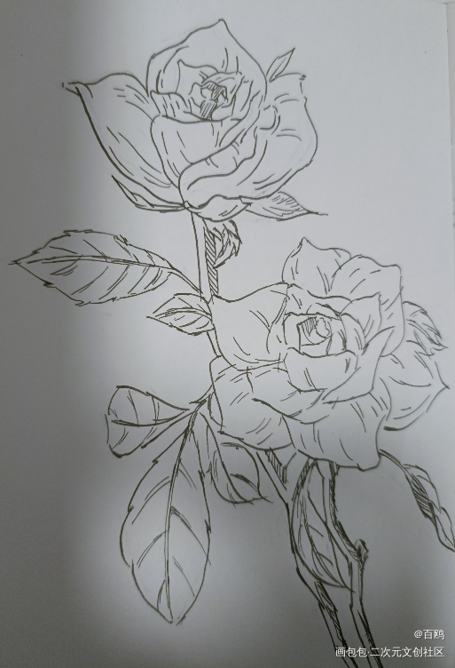 打卡_唤醒春日主题打卡绘画作品