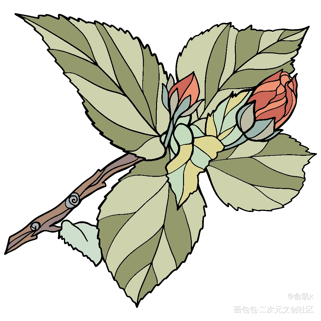 植物_手绘平涂绘画作品