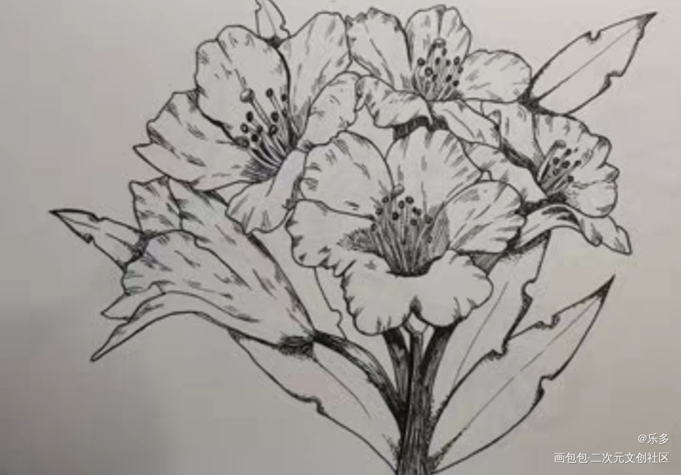 _手绘绘画作品