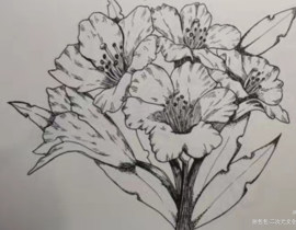 _绘画作品