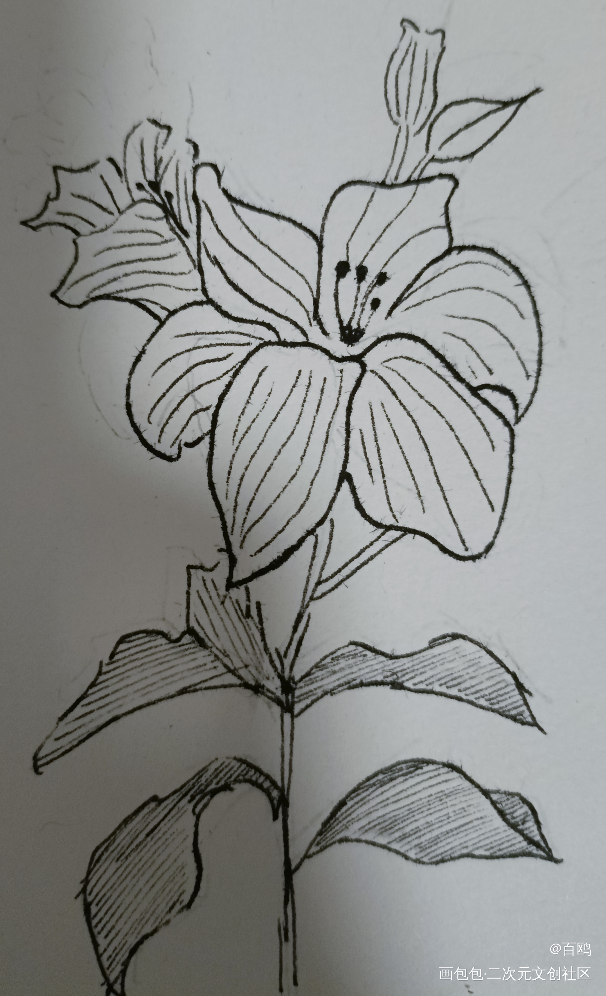 打卡_唤醒春日主题打卡绘画作品