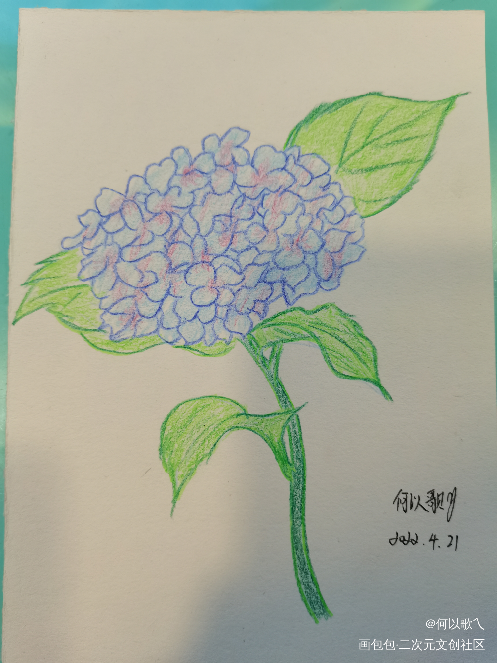 【Day 14】花_铅笔摸鱼页手绘绘画作品