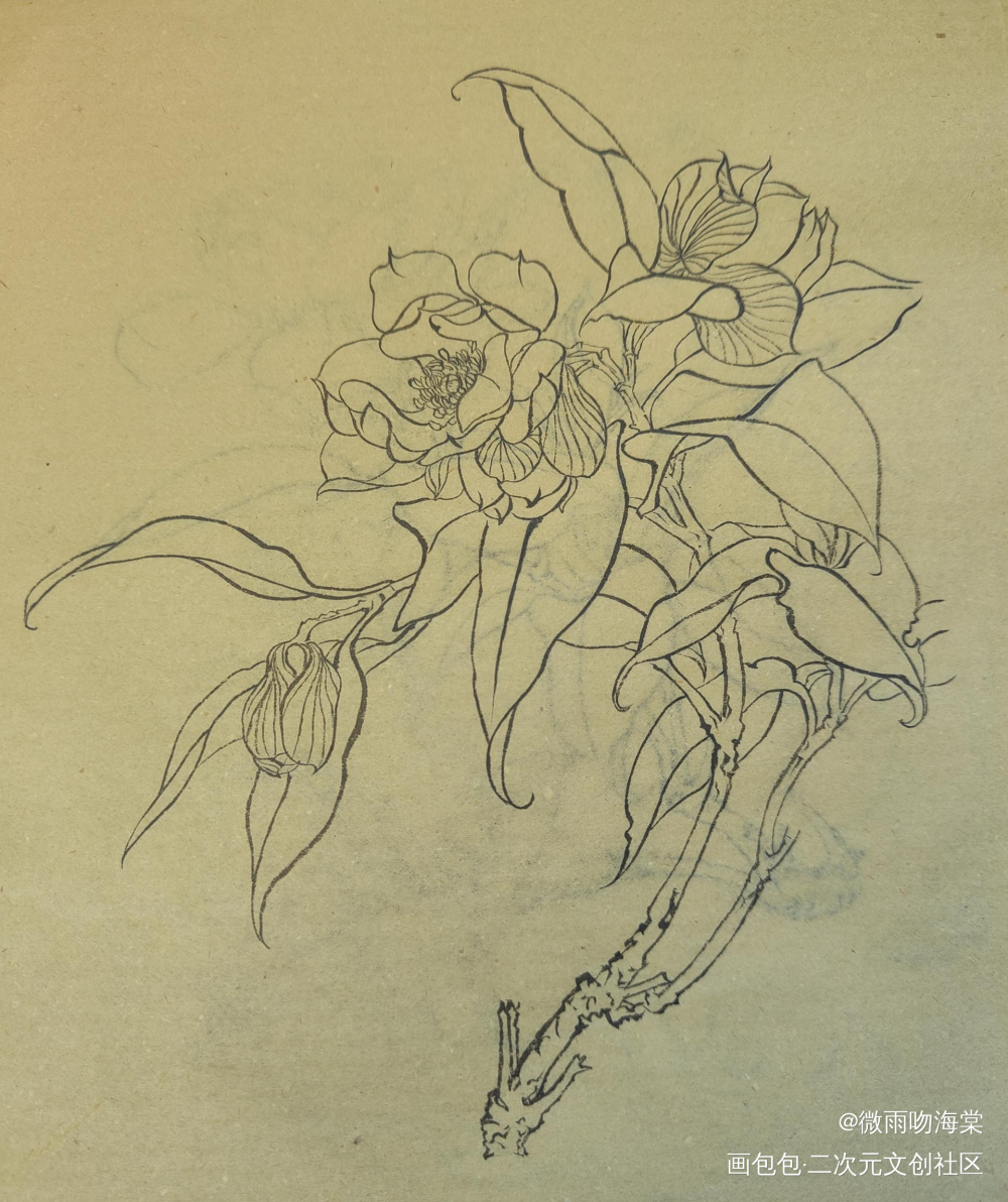 每日打卡14_水墨手绘绘画作品