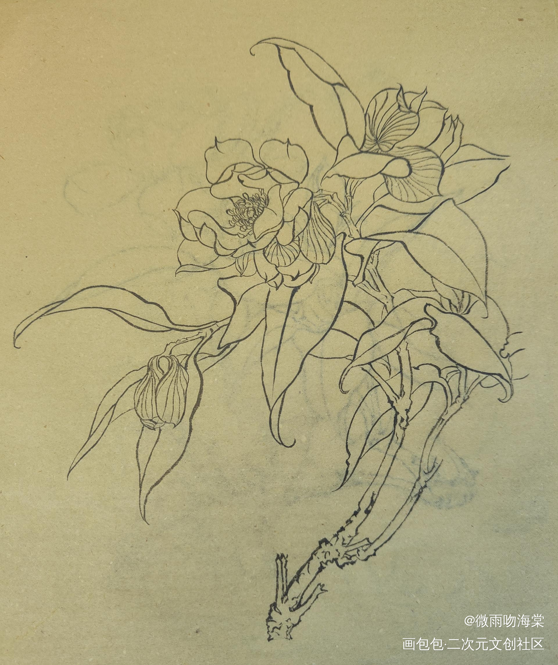 每日打卡14_水墨手绘绘画作品
