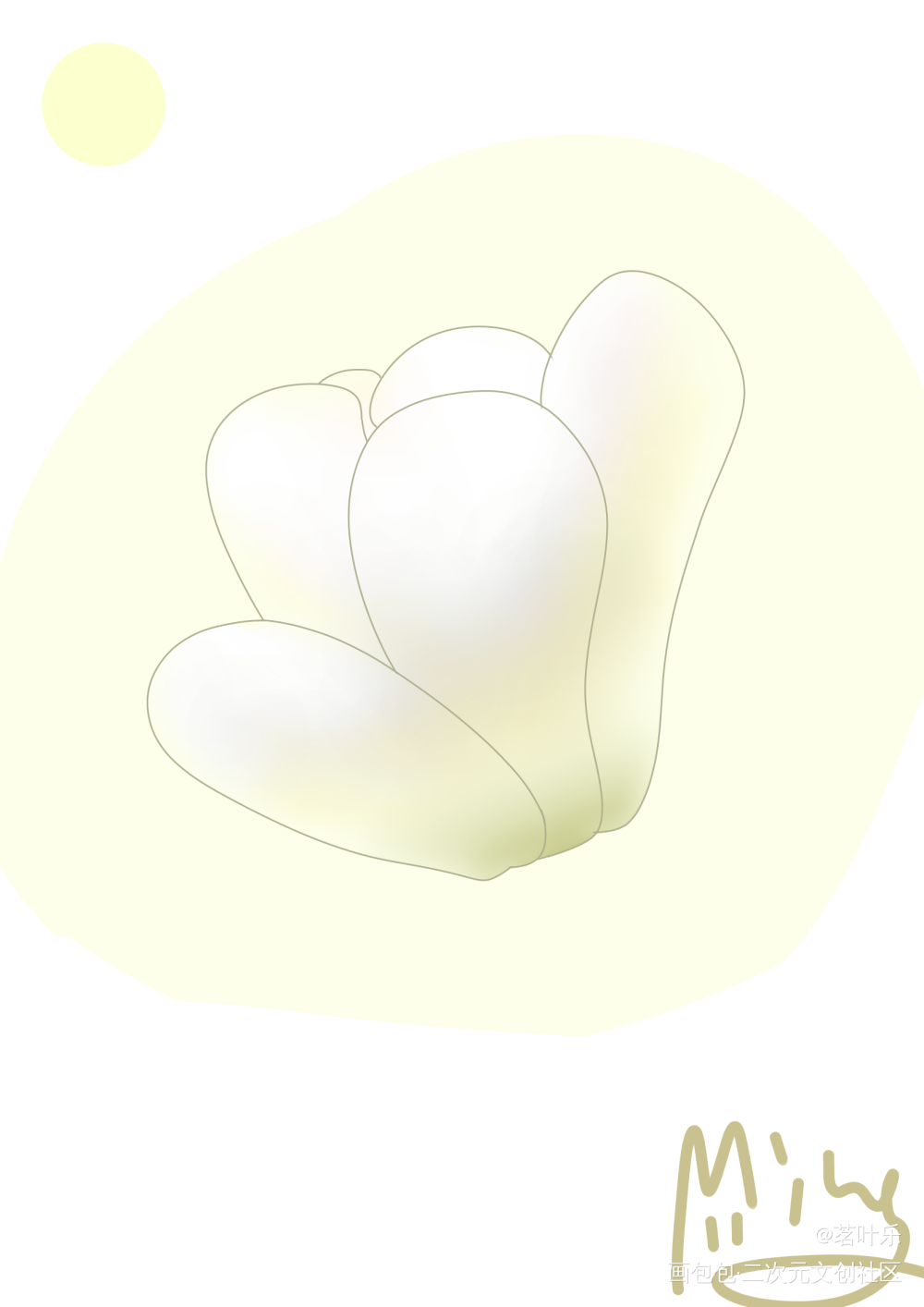白玉兰_植物绘画作品