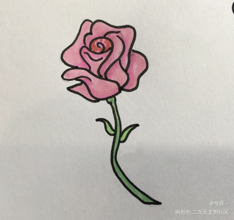 玫瑰花_手绘绘画作品