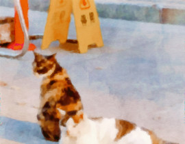 猫猫_绘画作品