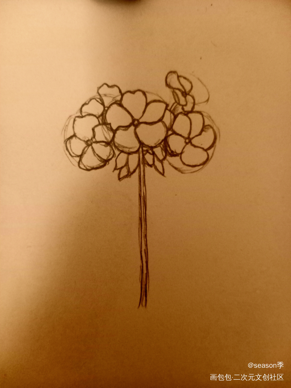 花_手绘绘画作品