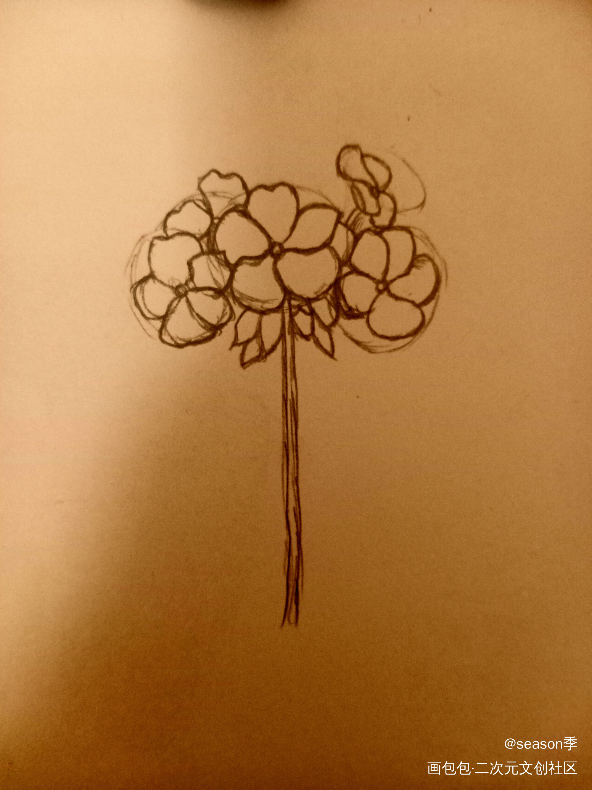 花_手绘绘画作品