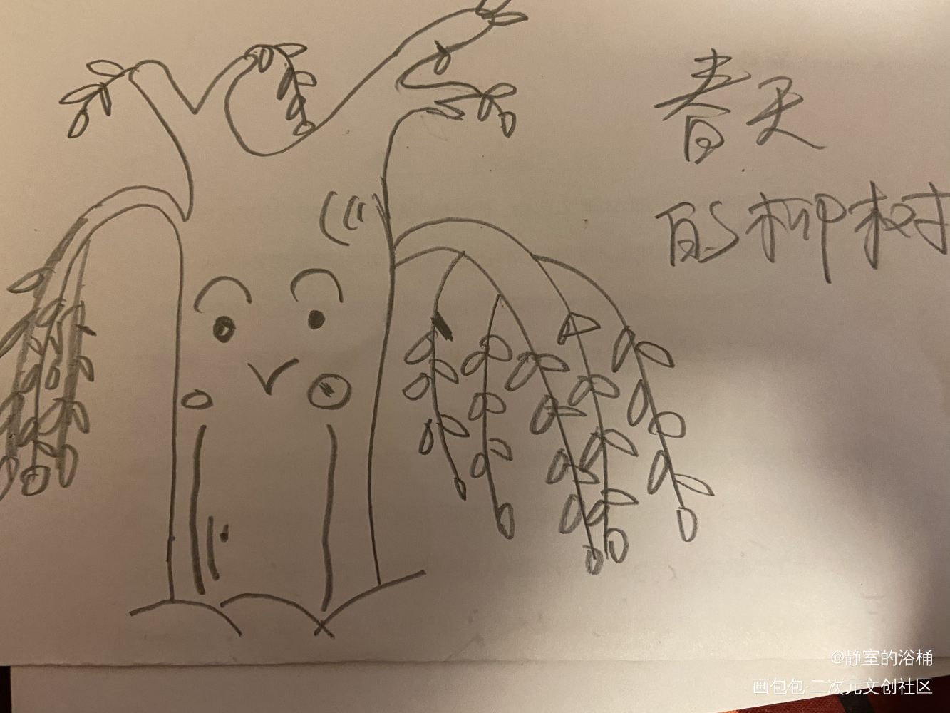 春天的柳树_黑白简笔绘画作品