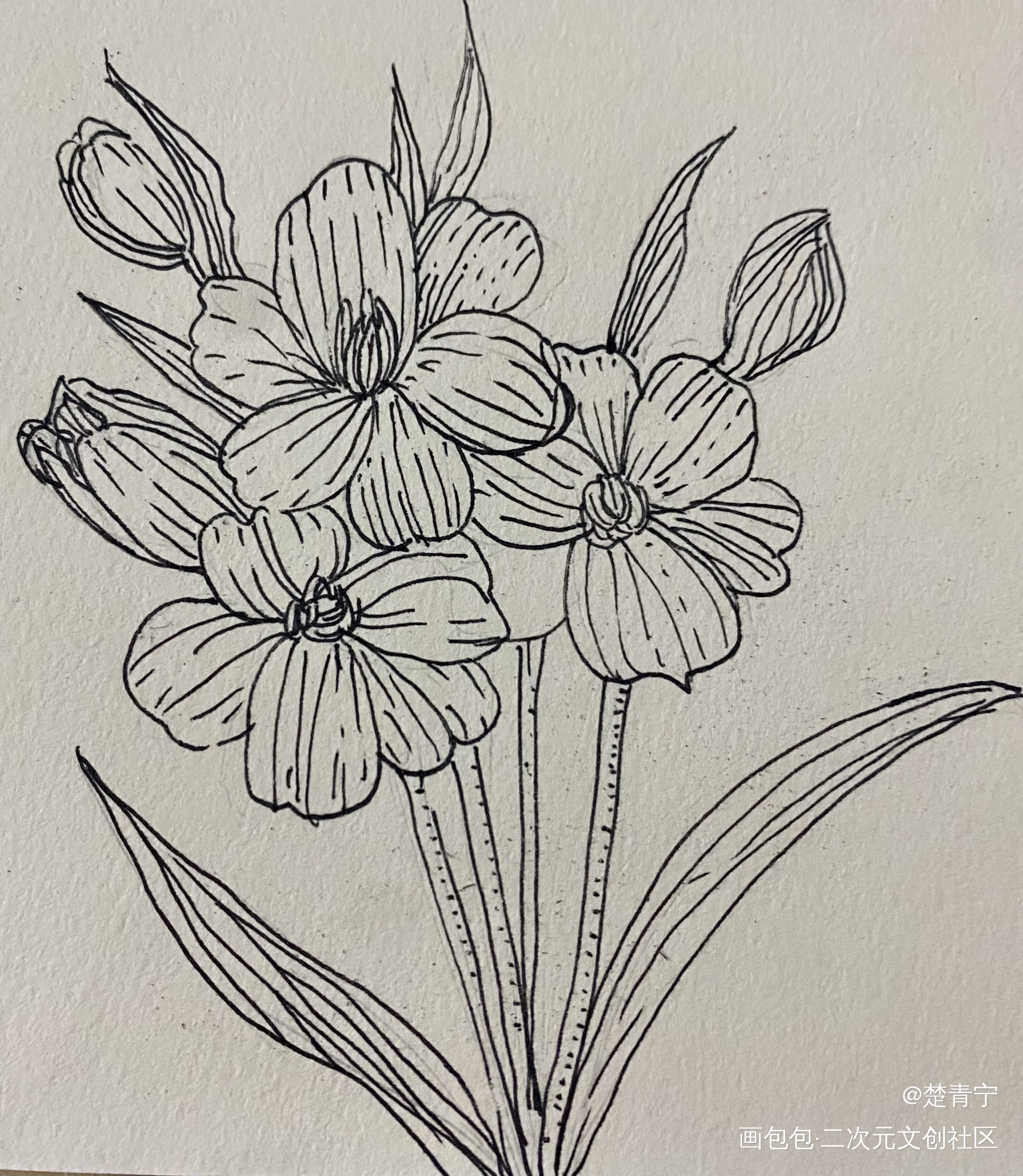 打卡_唤醒春日主题打卡绘画作品