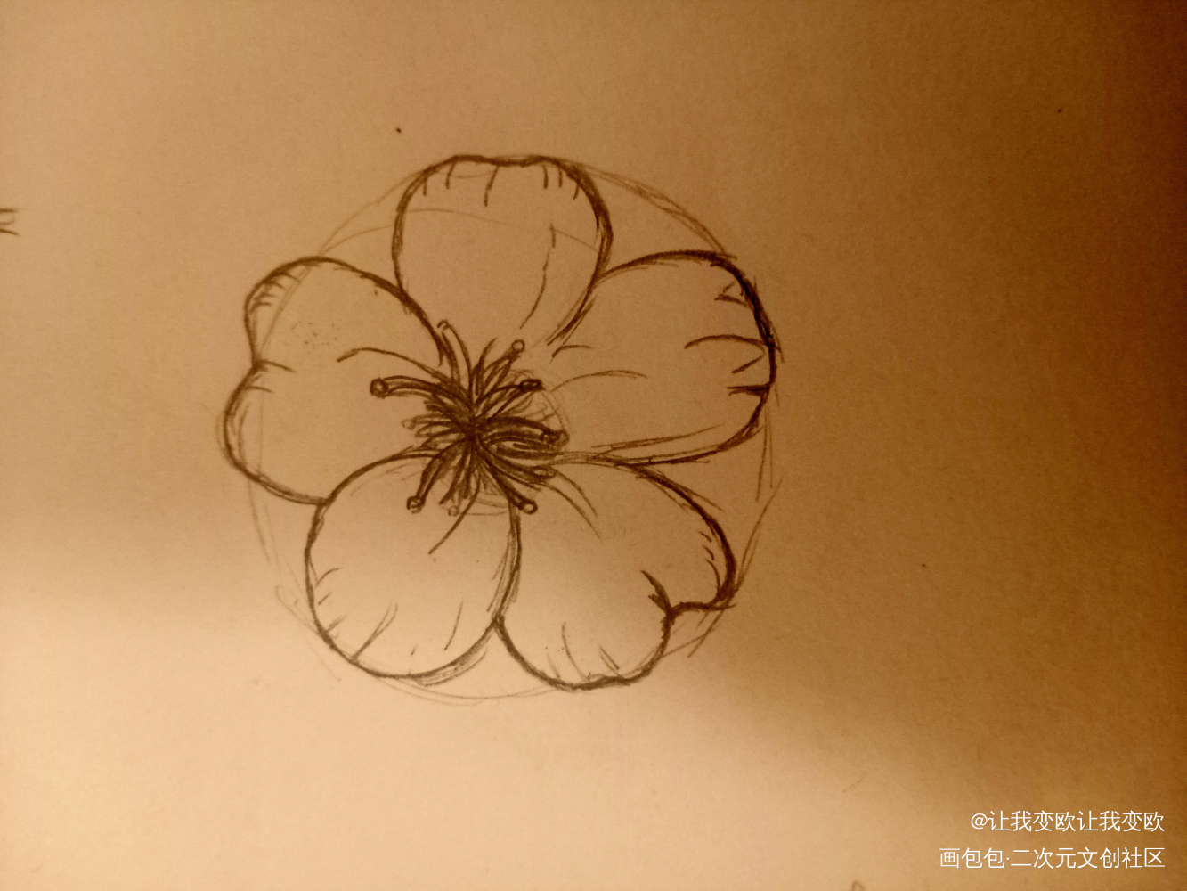 花_手绘绘画作品
