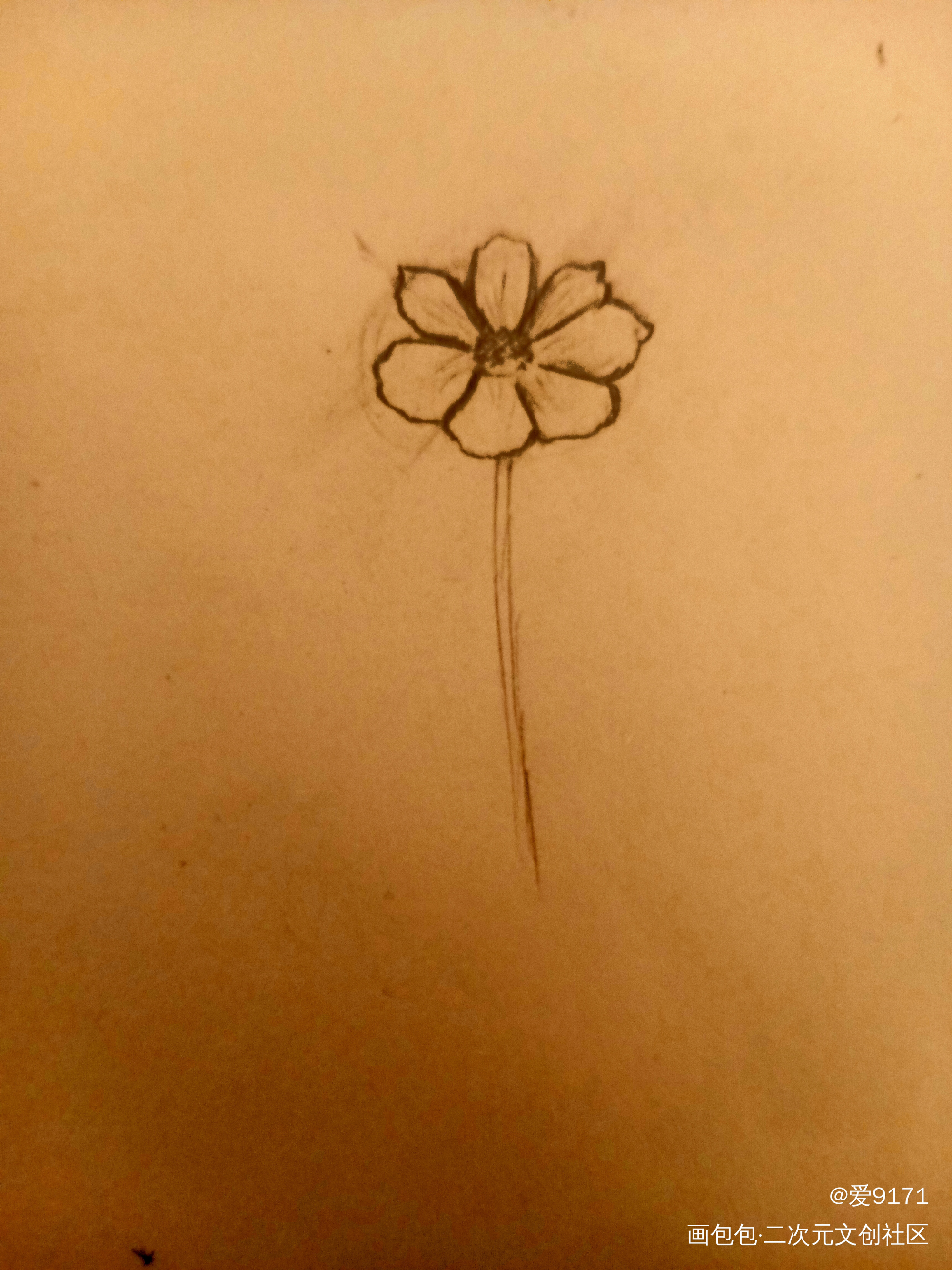 花_手绘绘画作品