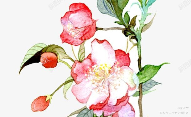 _手绘绘画作品