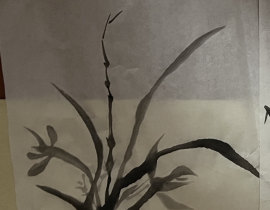 _绘画作品