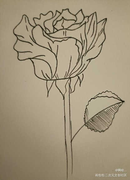 打卡_唤醒春日主题打卡绘画作品