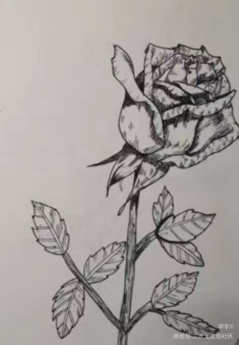 _铅笔绘画作品