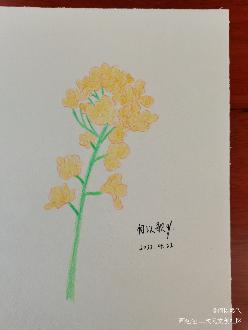 【Day 15】花_铅笔摸鱼页手绘绘画作品