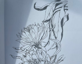 昙花_绘画作品