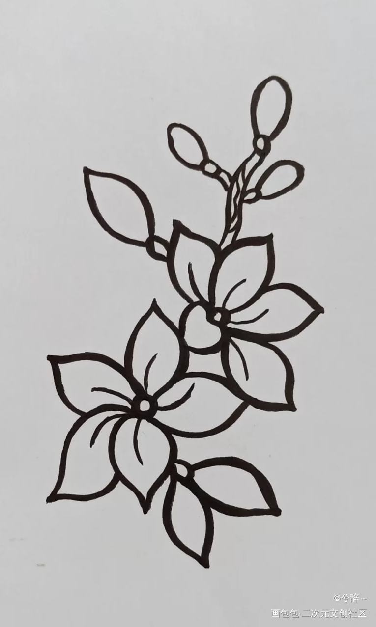 花花_手绘绘画作品