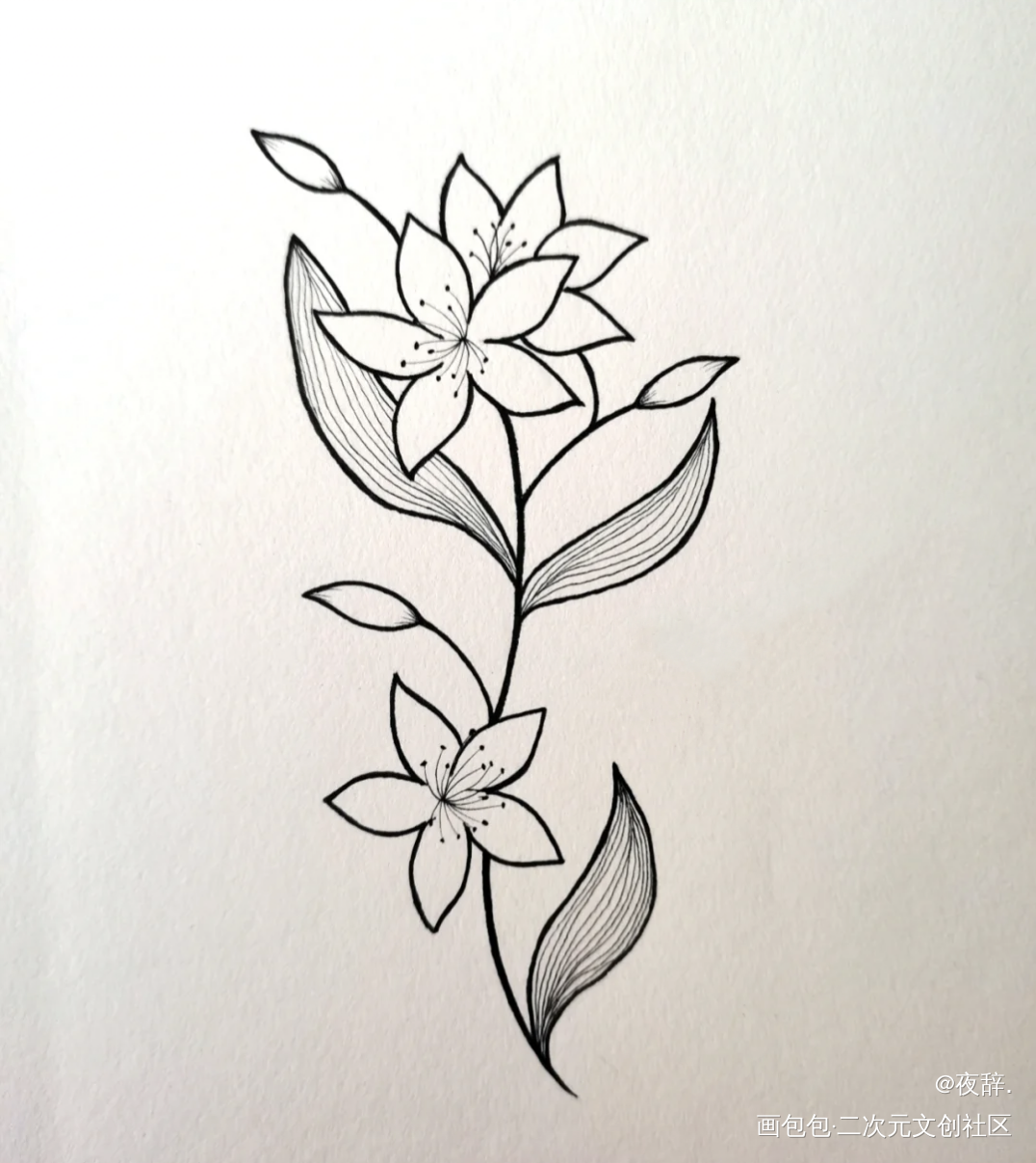 _手绘绘画作品