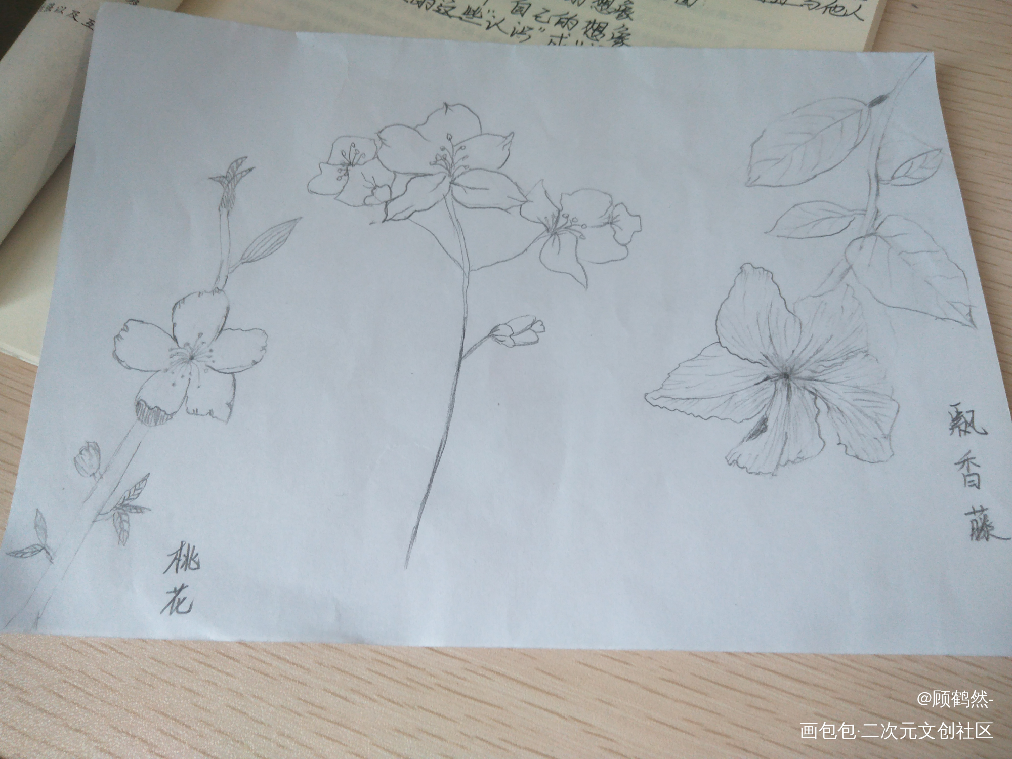 一些春意_铅笔摸鱼页绘画作品