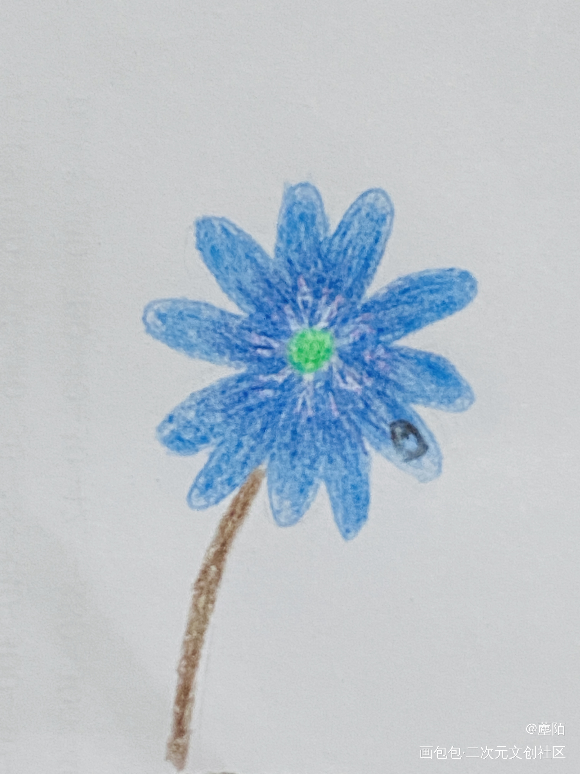 Day 1 练手第一天_铅笔绘画作品