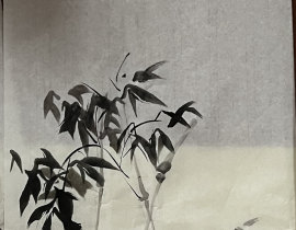 _绘画作品