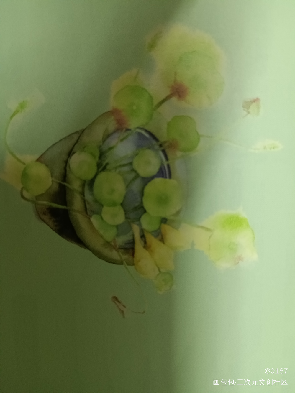 _手绘水彩绘画作品