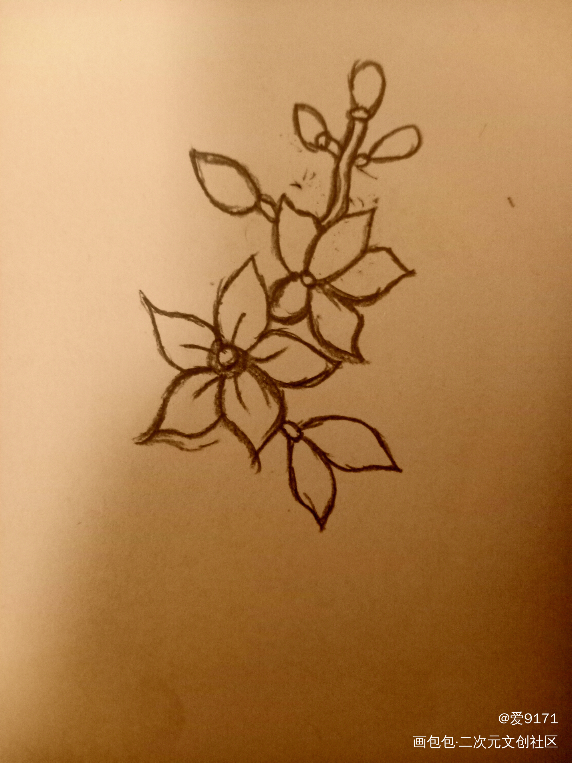 花_手绘绘画作品