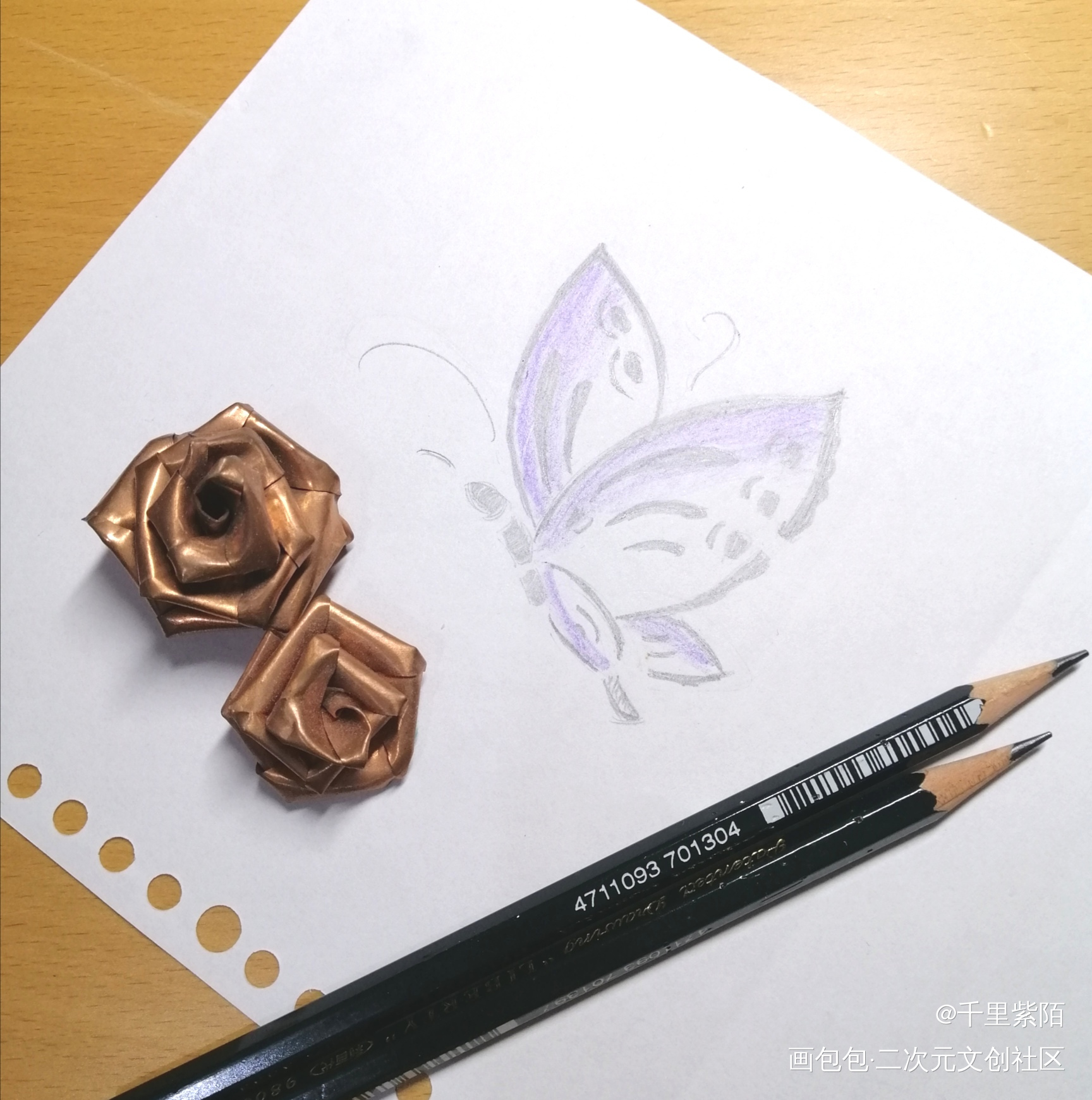 蝶_铅笔手绘绘画作品