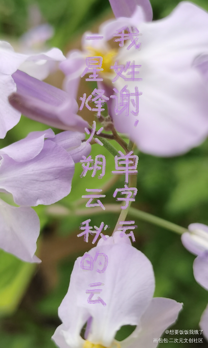春天的花_摸鱼页绘画作品