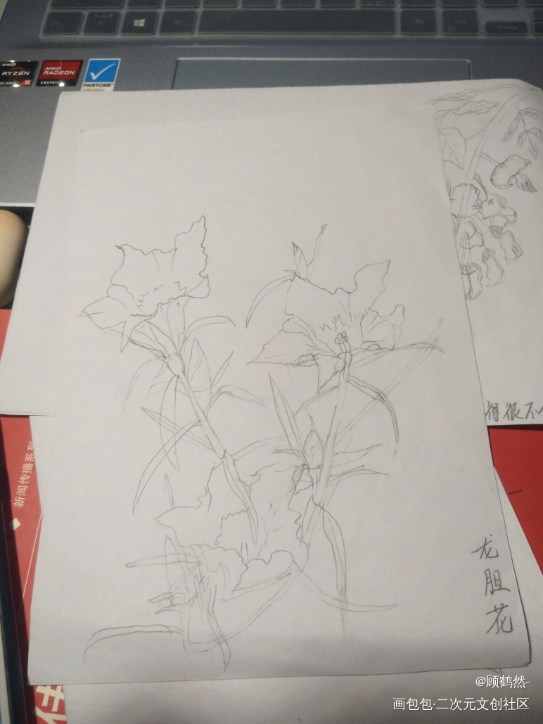 龙胆花_铅笔摸鱼页绘画作品