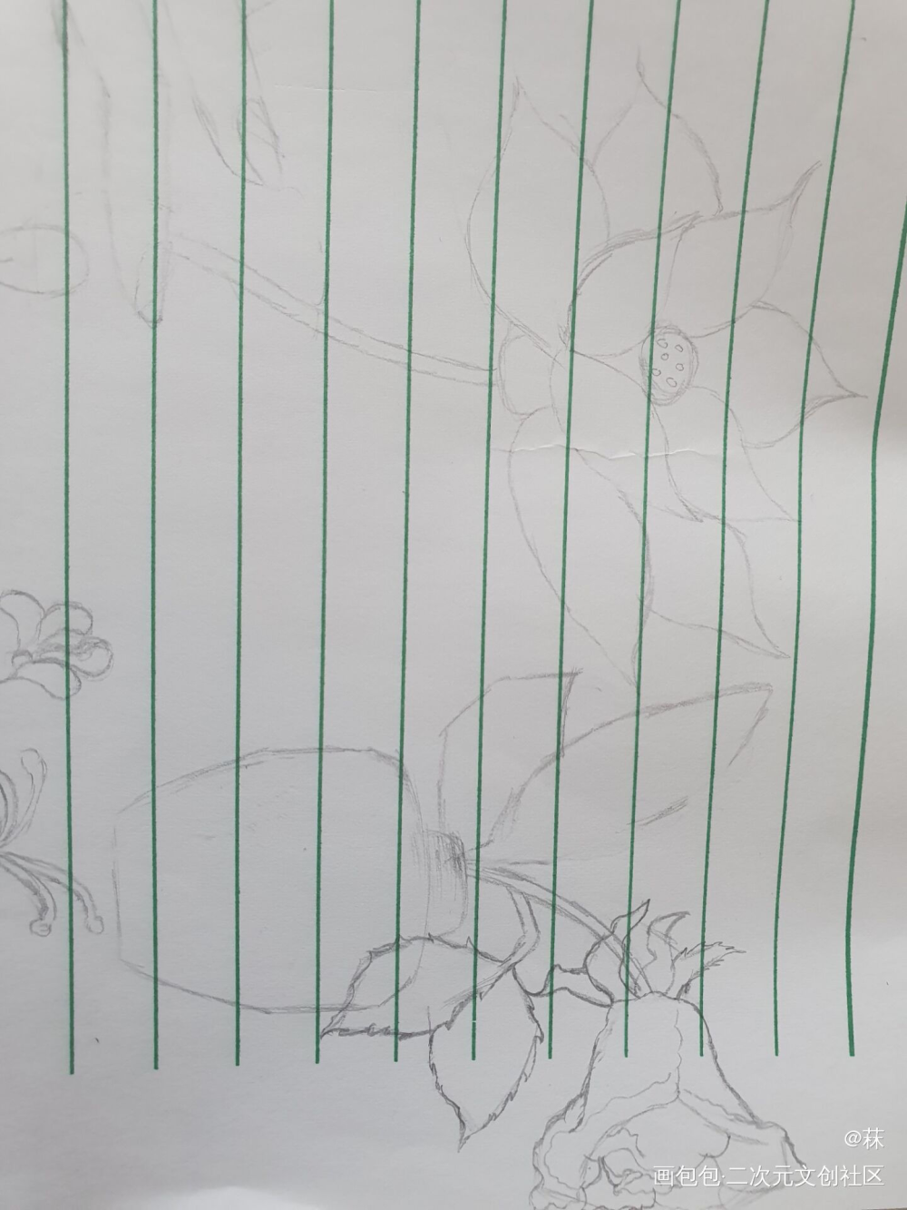 来朵花吧_原创绘画作品