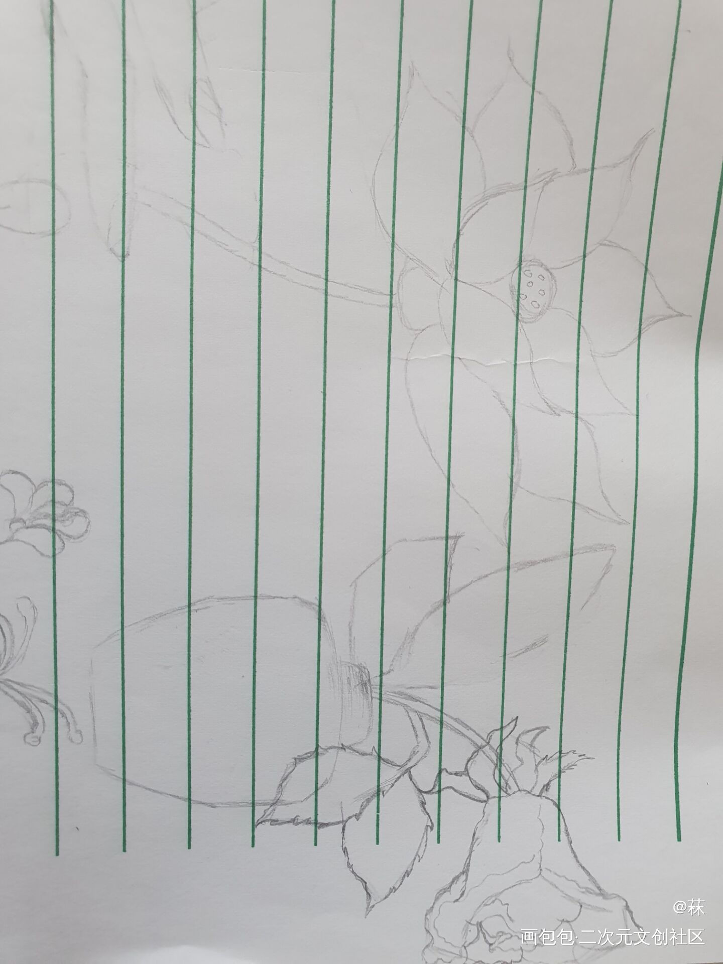 来朵花吧_原创绘画作品