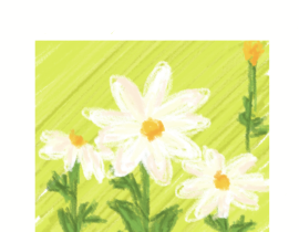 day6_绘画作品