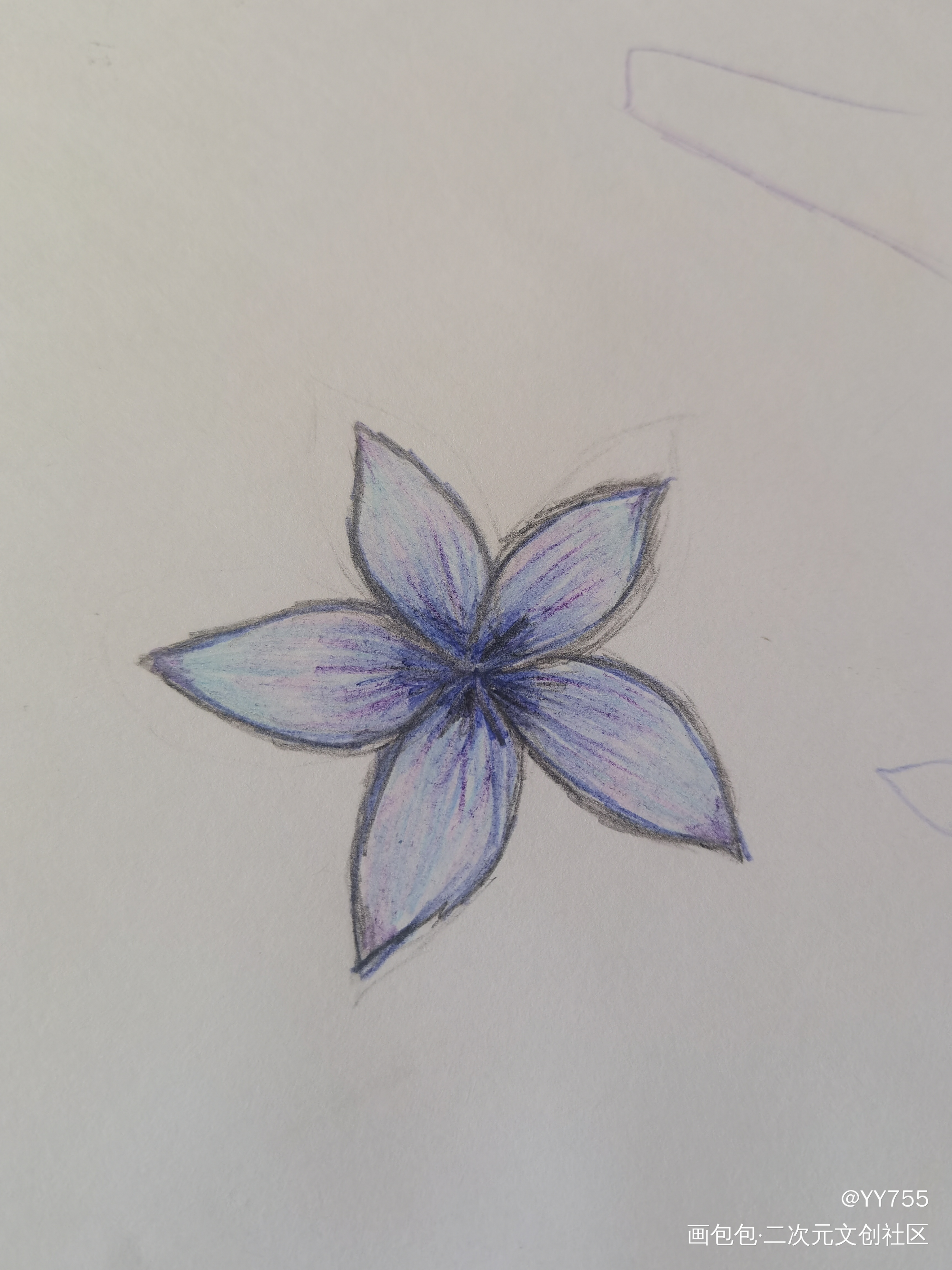 小花花_铅笔绘画作品