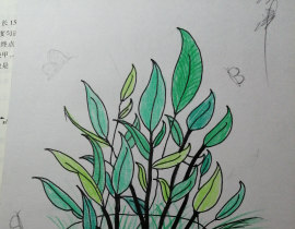 day7_绘画作品