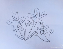 春日里简简单单的几朵小花_绘画作品